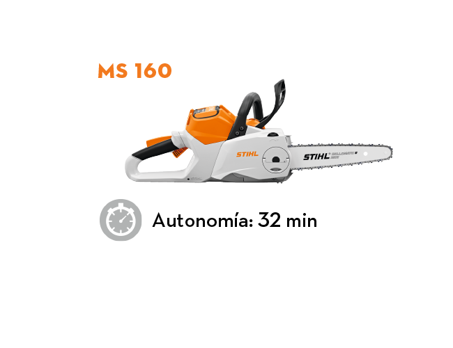 MS 160