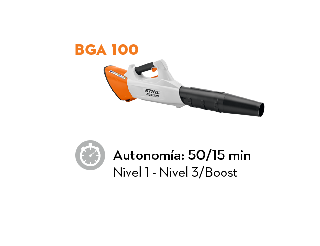 BGA 100