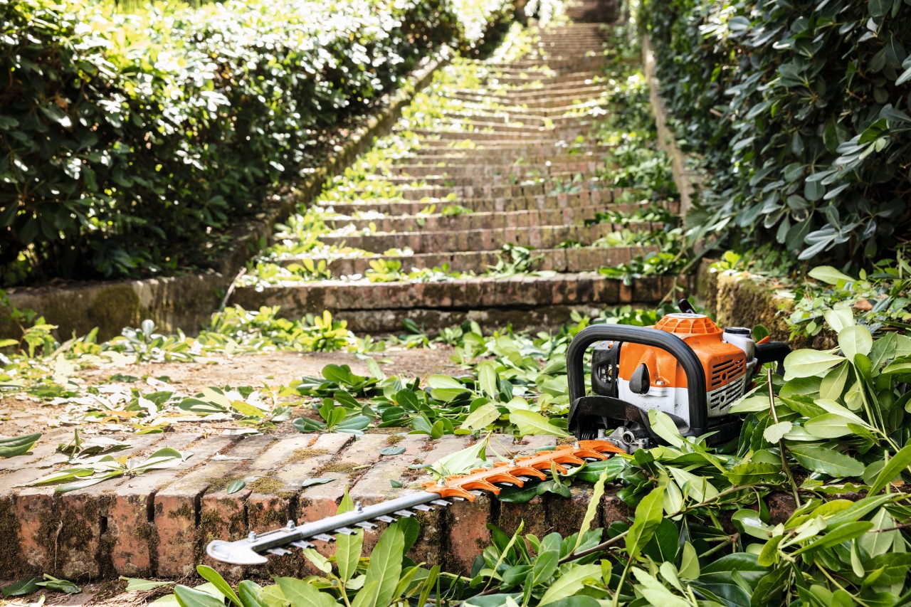 Un cortasetos de gasolina STIHL HS 82 T se encuentra entre hojas verdes en una escalera antes del mantenimiento
