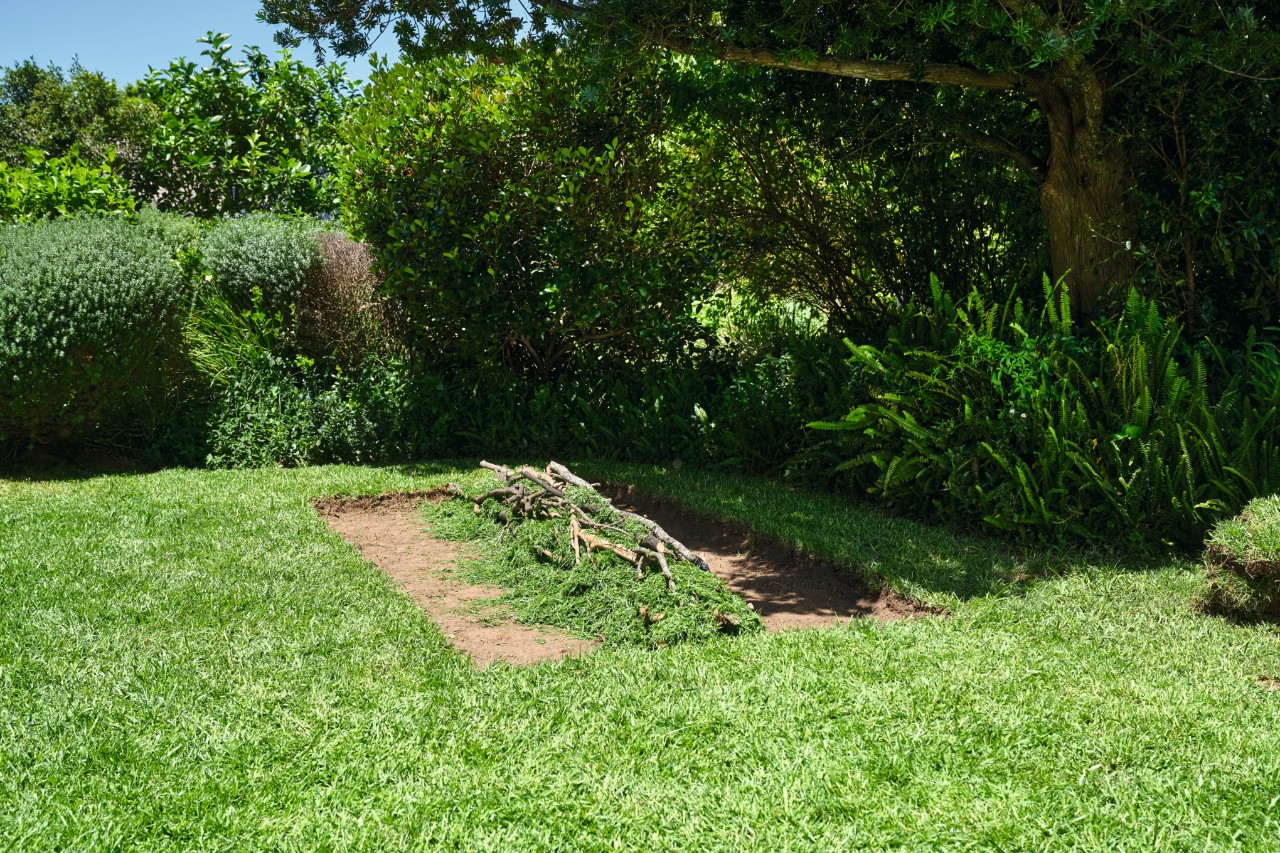 Superficie de bancal de cama elevada con ramas y césped recortado