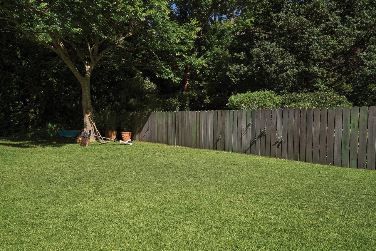 Un jardín con césped verde y una valla de madera, una carretilla y macetas a la sombra de un árbol en el fondo.