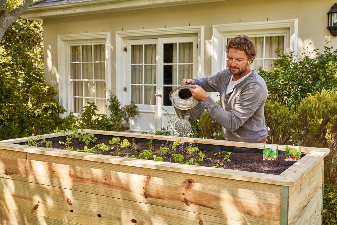 Un hombre riega las plantas de una mesa de cultivo.