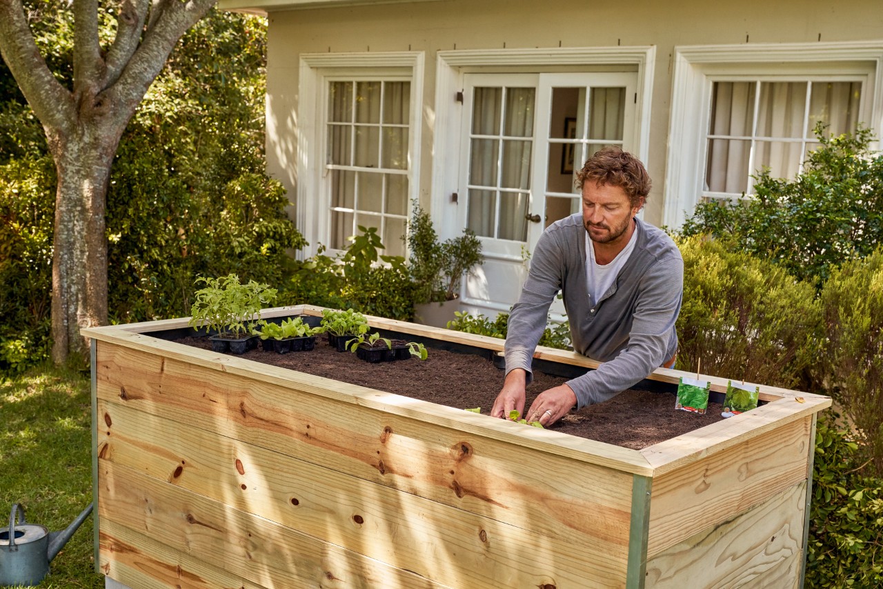 Un hombre plantando en una mesa de cultivo.