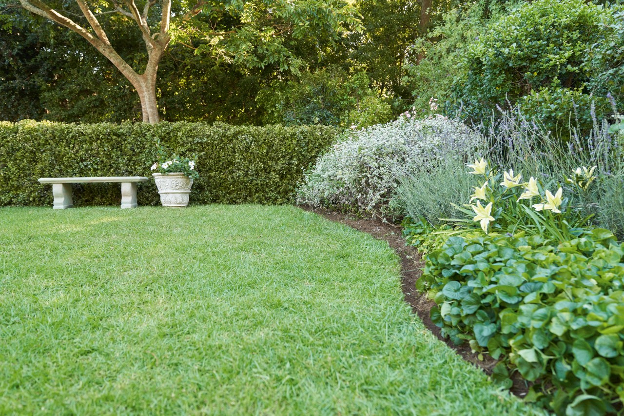 El borde de césped al estilo inglés marca el borde del césped en un jardín