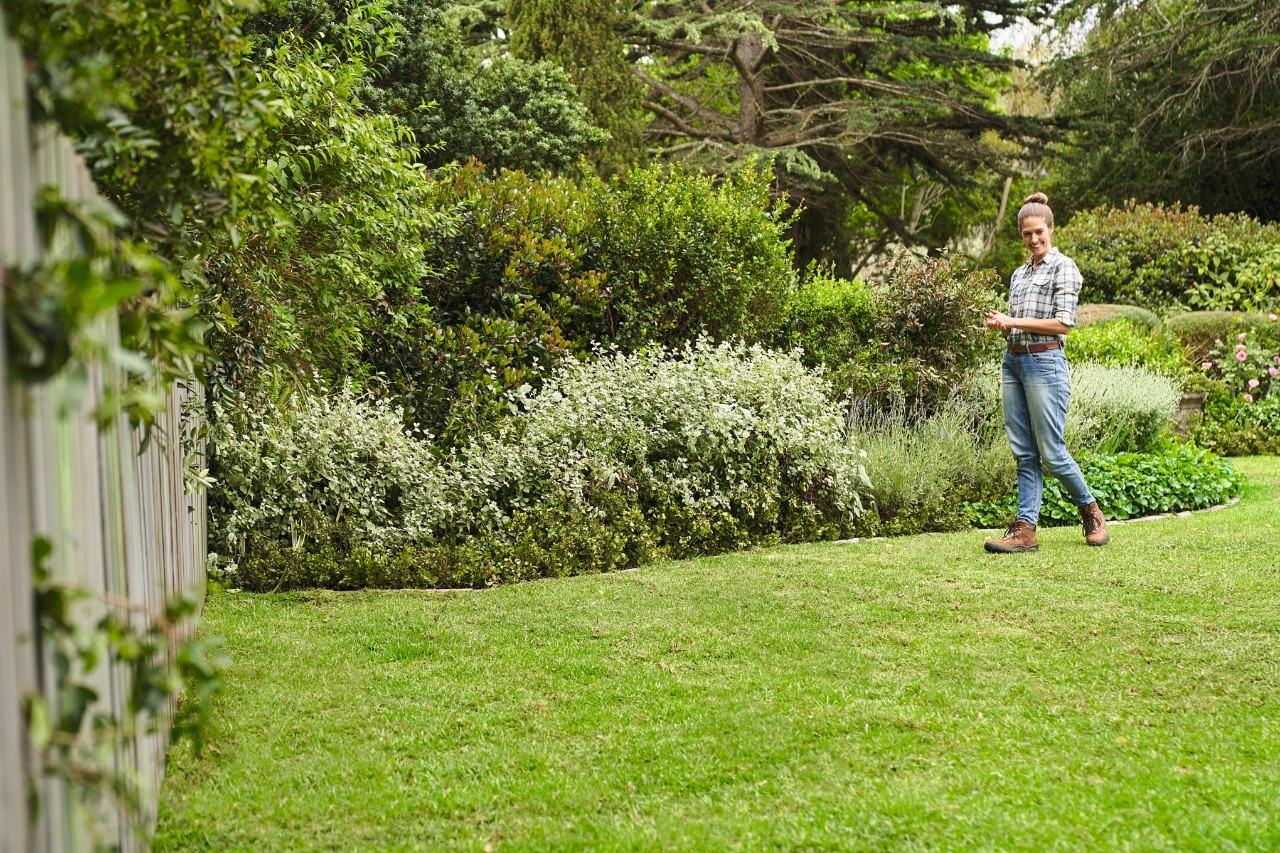 Mujer caminando sobre su césped recién puesto en un gran jardín