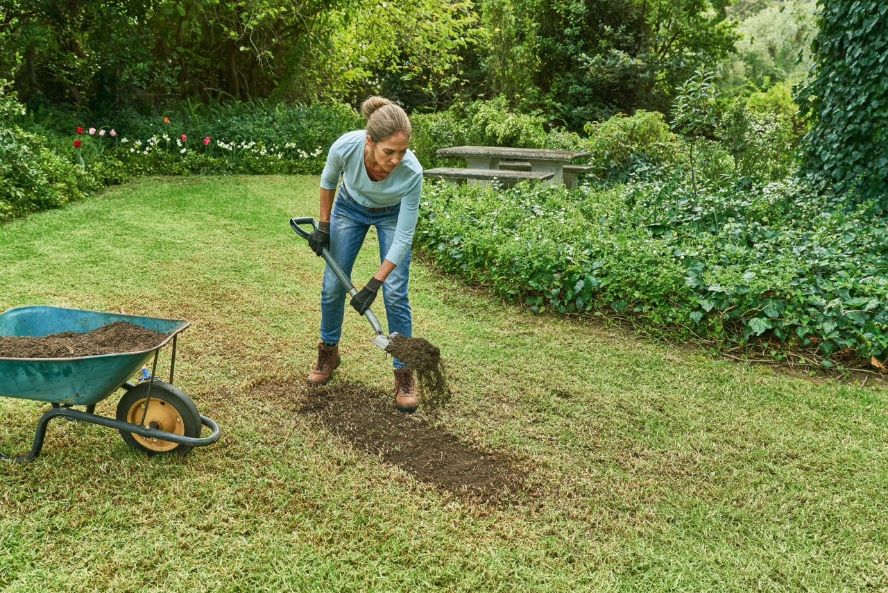 A woman using a shovel to scatter compost from a wheelbarrow onto a lawn