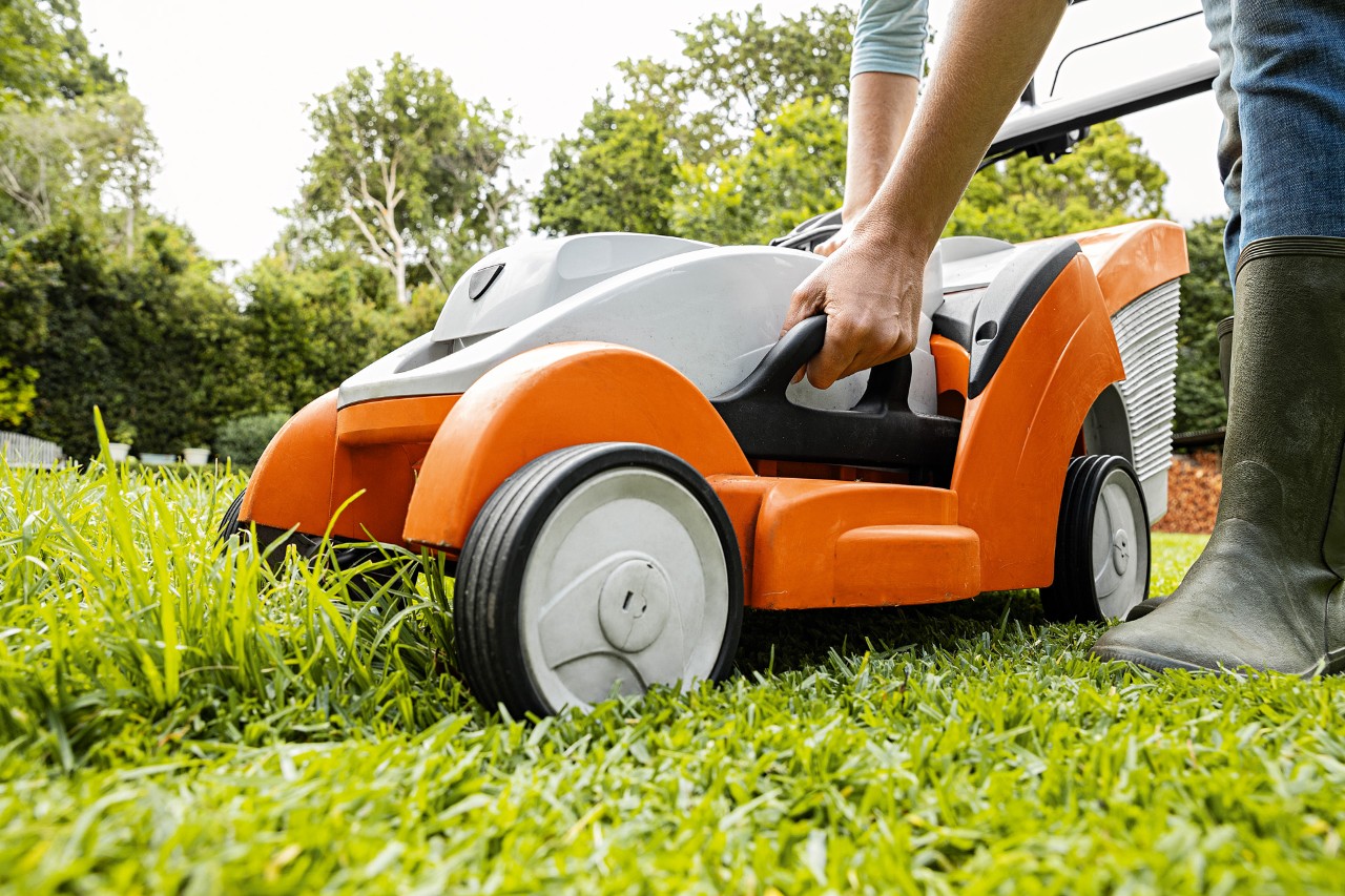 Un cortacésped de batería STIHL RMA 339 C en un césped parcialmente cortado, se ven unas manos retirando el recogedor.