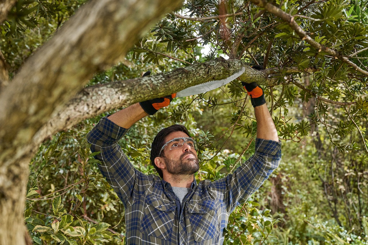 Un hombre con guantes de protección y gafas protectoras STIHL sierra una rama desde la base hasta la mitad de la misma