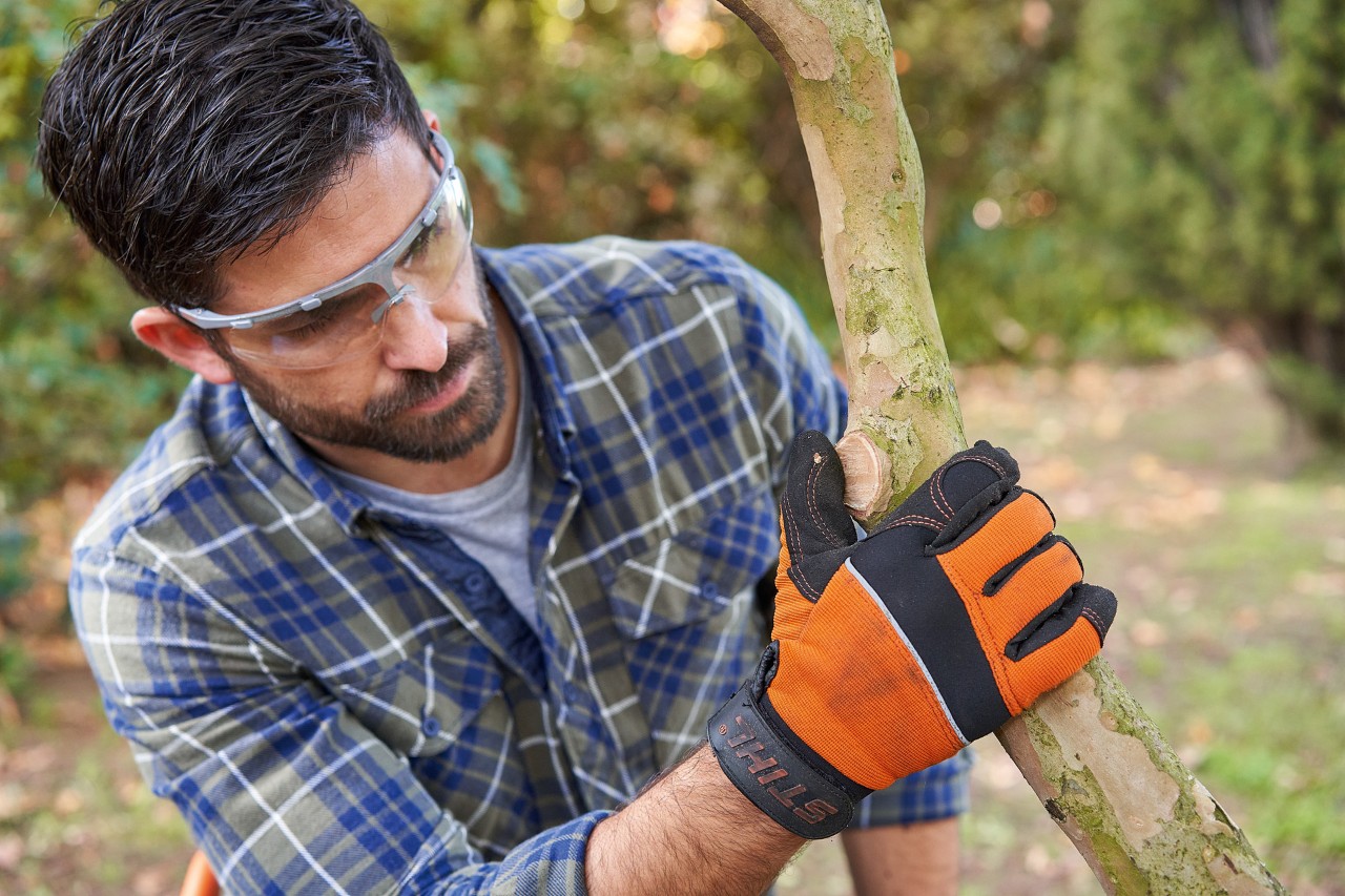 Un hombre con guantes de protección y gafas protectoras STIHL examina una rama en el jardín