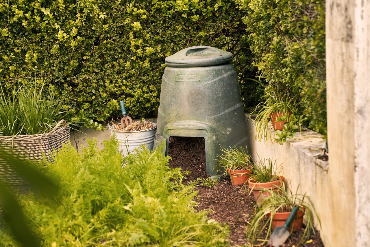 Contenedor de plástico para hacer compost en la esquina de una zona verde entre macetas y plantas.
