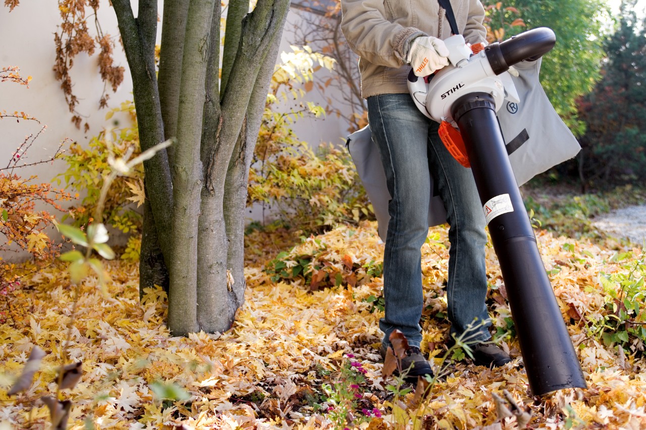 Un picador/aspirador de hojas para jardín STIHL SH 56 aspira hojas junto a un árbol.