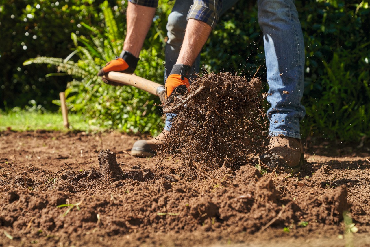 Primer plano de un hombre descompactando el suelo del jardín con un rastrillo 