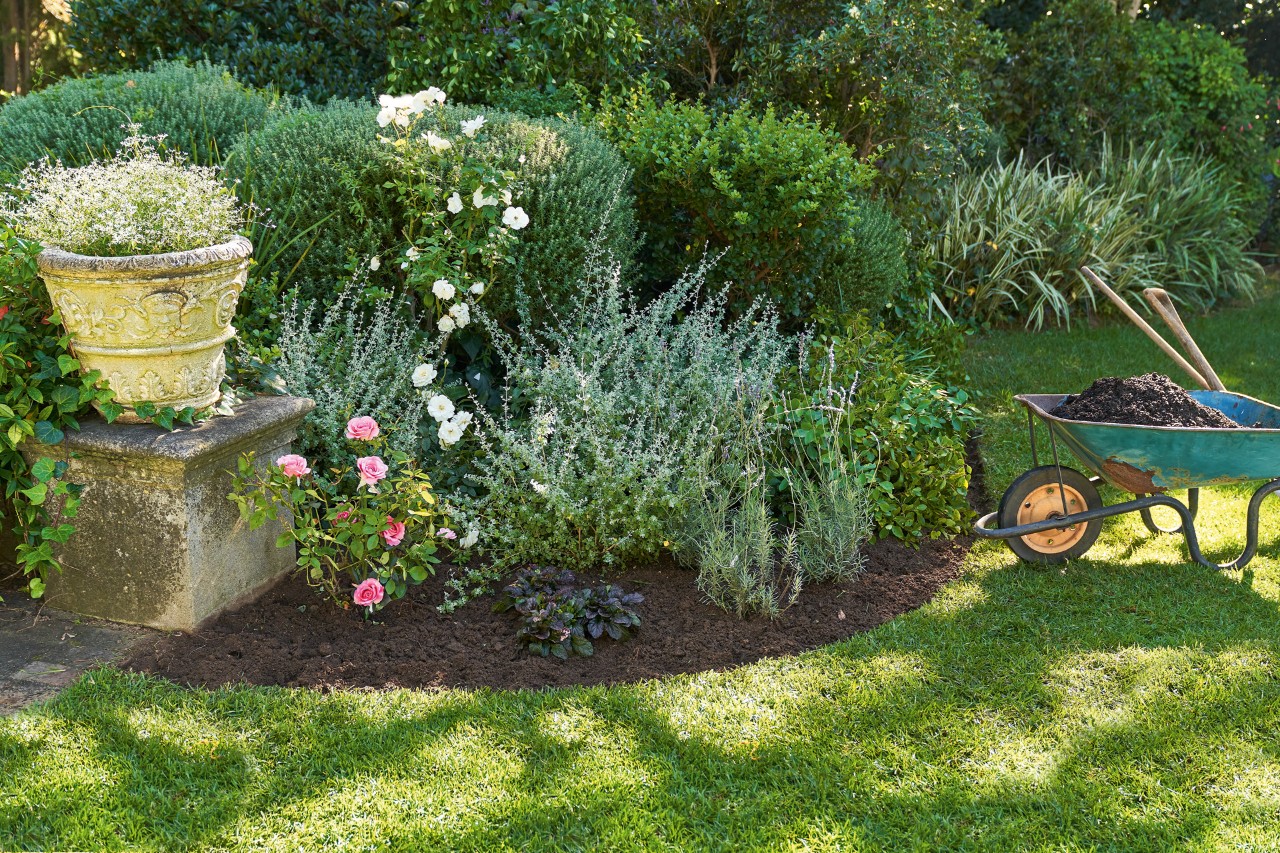 Atractivo jardín sombrío