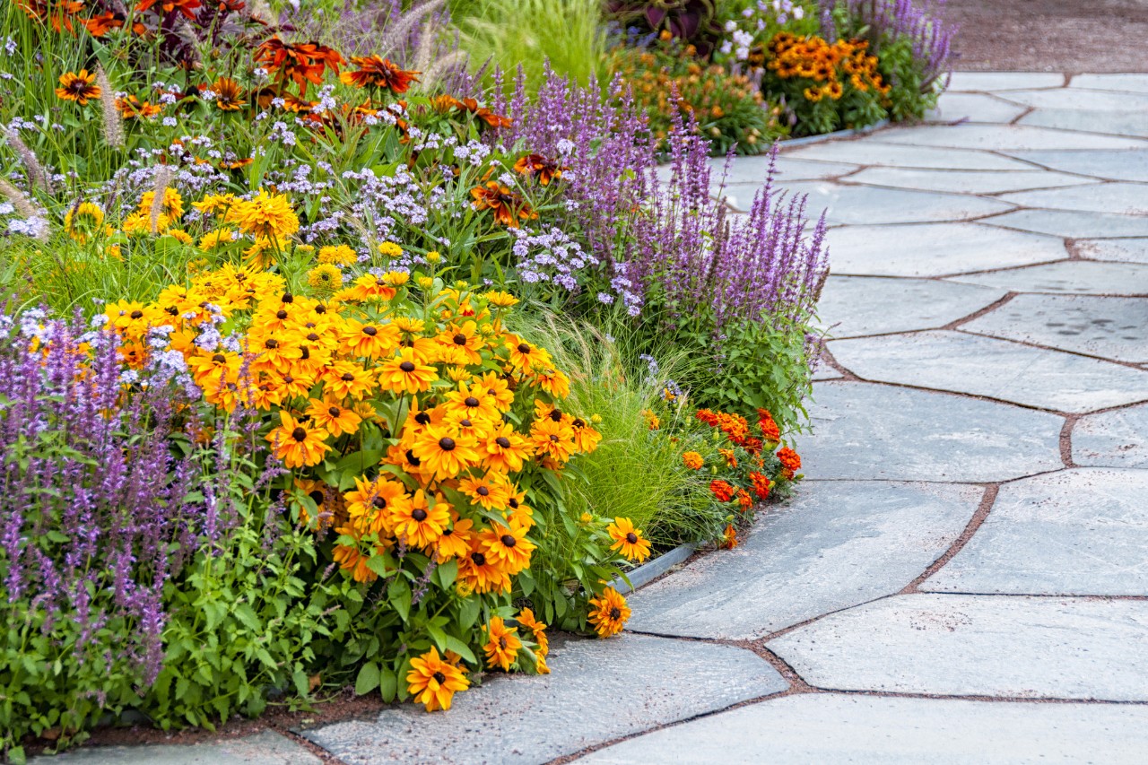 Macizo de flores perennes de colores a lo largo del camino pavimentado en un jardín