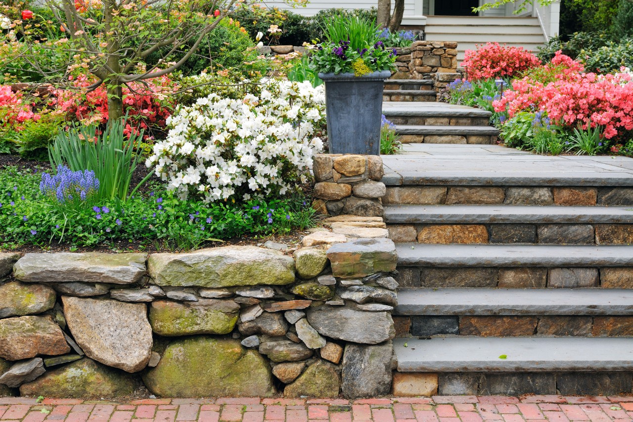 Peldaños de piedra rodeados de macizos de flores de colores en un jardín principal