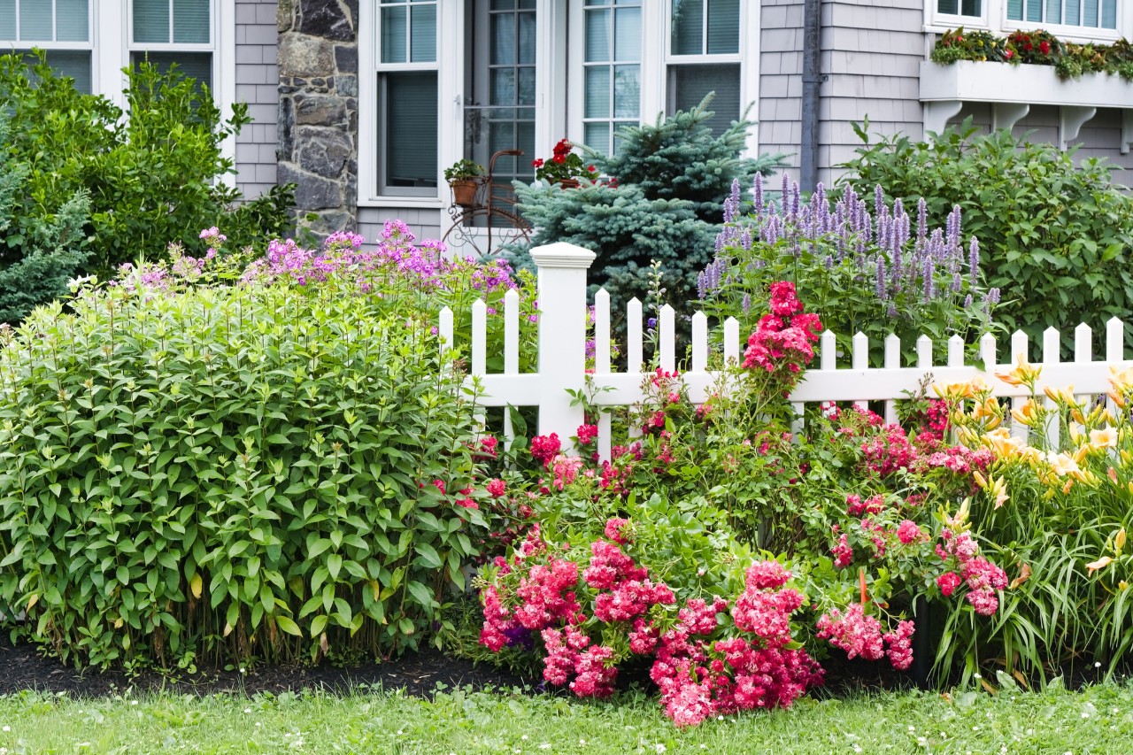 Jardín principal romántico con valla blanca y rosas