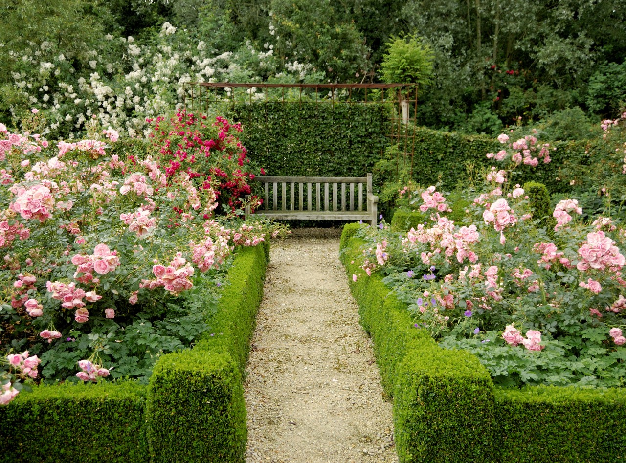 Pequeño jardín romántico con parterres de rosas, bojes recortados, rodeados por un seto de carpes, banco de madera. 