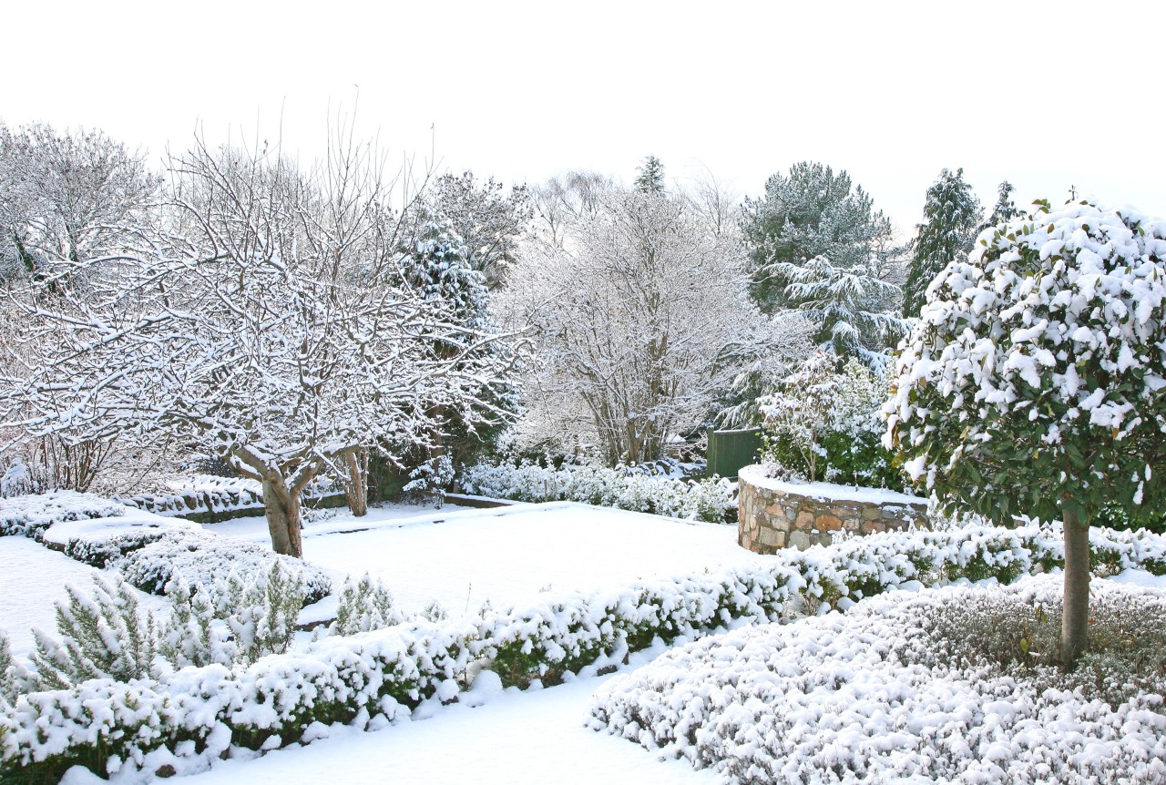 Jardín en invierno cubierto de nieve