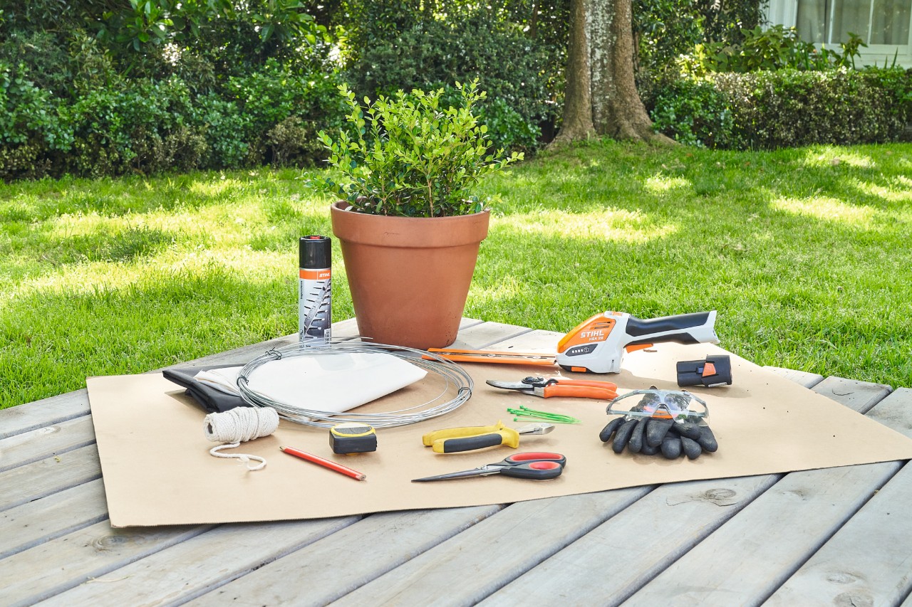 Boj sin cortar junto al recortasetos de batería STIHL HSA 26 y las tijeras de jardinero STIHL PG 10