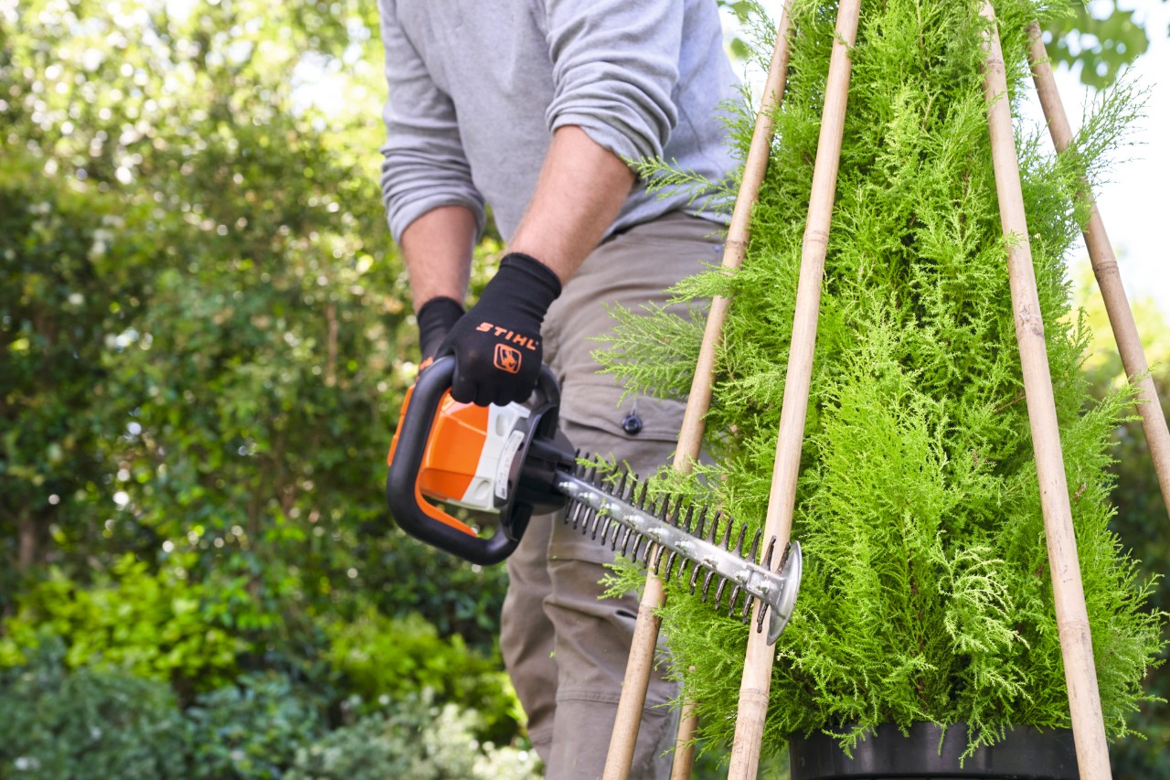 Un hombre recorta la planta que ha crecido con la tijera para setos de batería STIHL