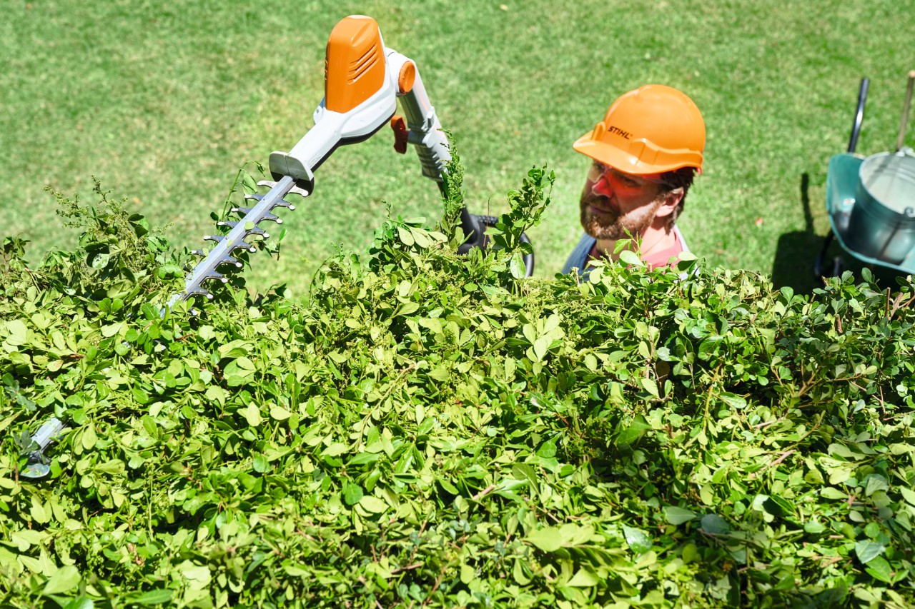 A vista de pájaro, un hombre con equipo de protección corta la copa de un seto con el cortasetos de altura de batería STIHL HLA 56 