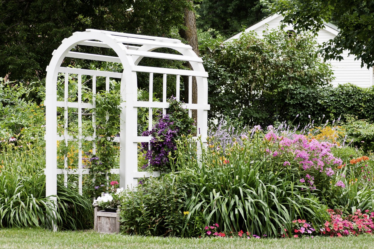 Celosía blanca entre las plantas de flores rosas y púrpuras en el jardín