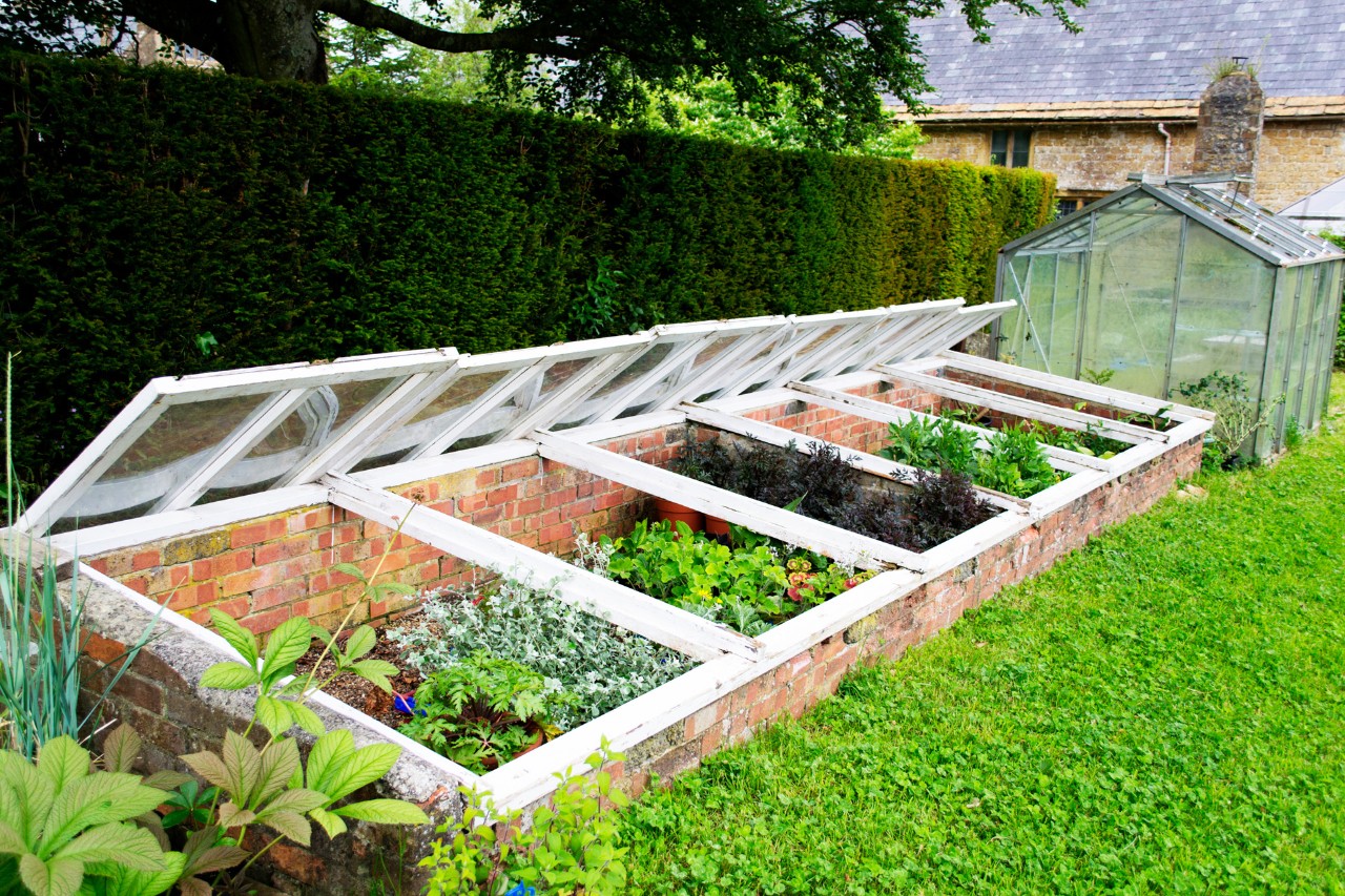 Construye tu propio vivero en una parcela de jardín