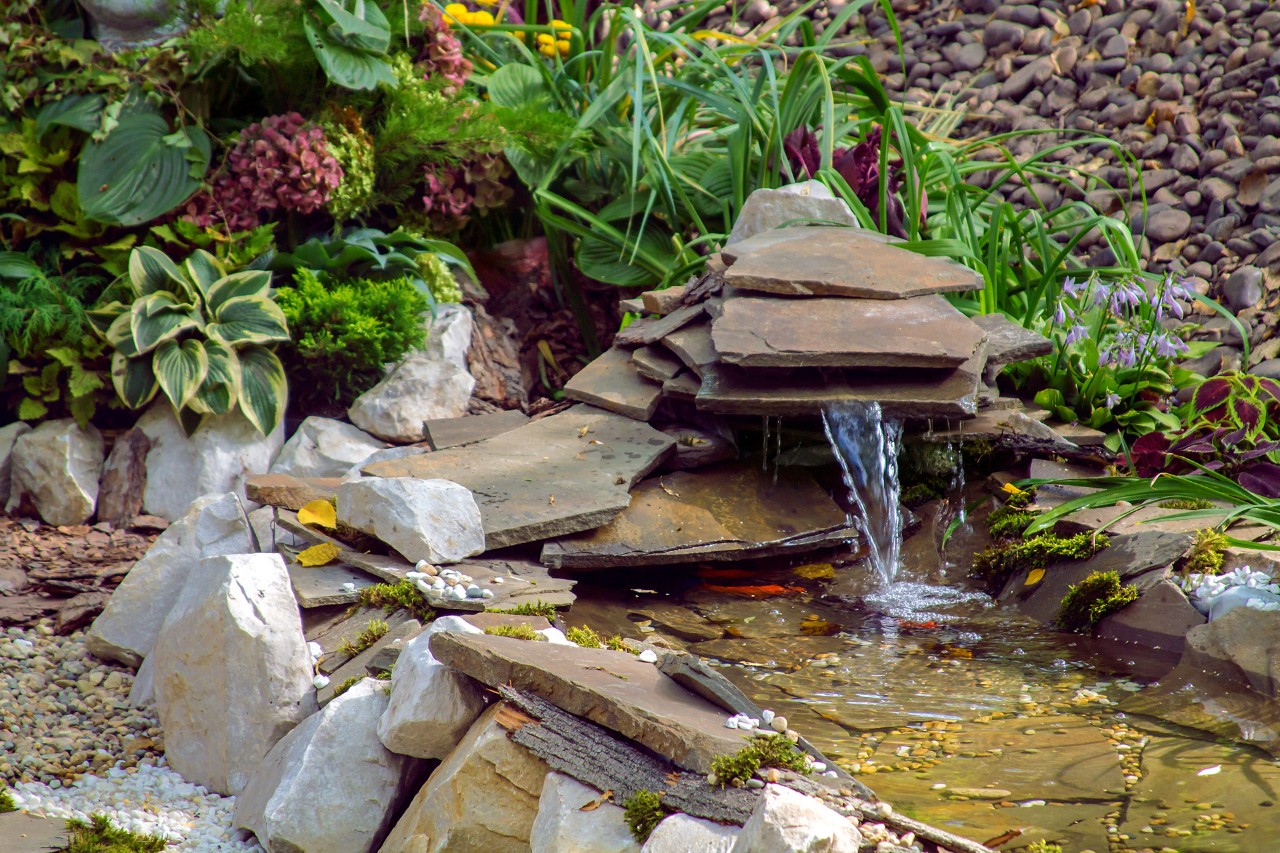 Fuente de un pequeño estanque en un jardín respetuoso con la naturaleza, decorado con plantas, piedras y losas.