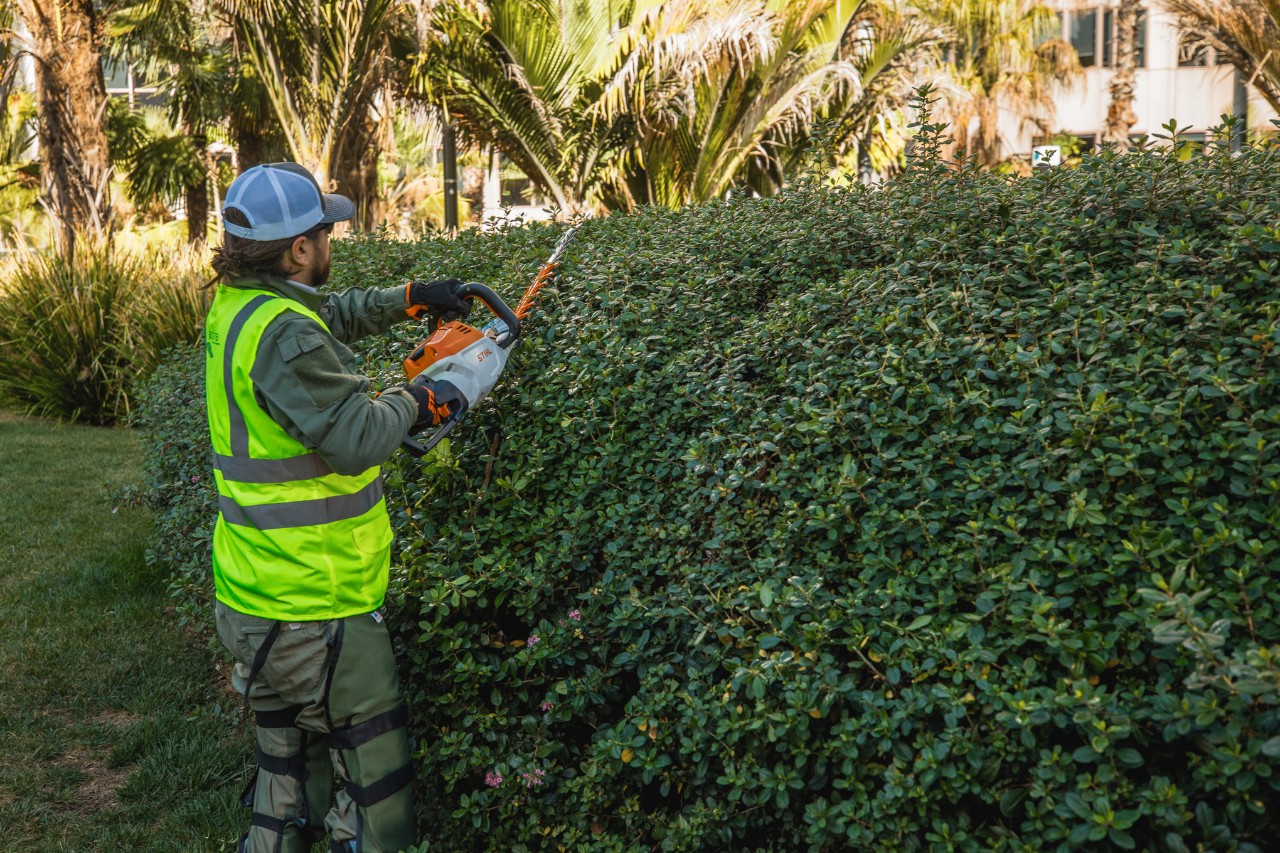 Vemos a jardineros paisajistas cuidando las zonas verdes delante de los edificios.