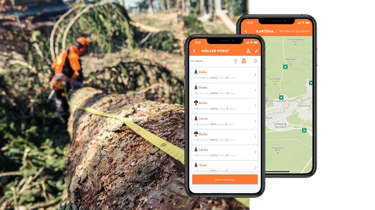 Collage con un árbol con cinta métrica y pantallas de smartphone con la aplicación STIHL Holzliste