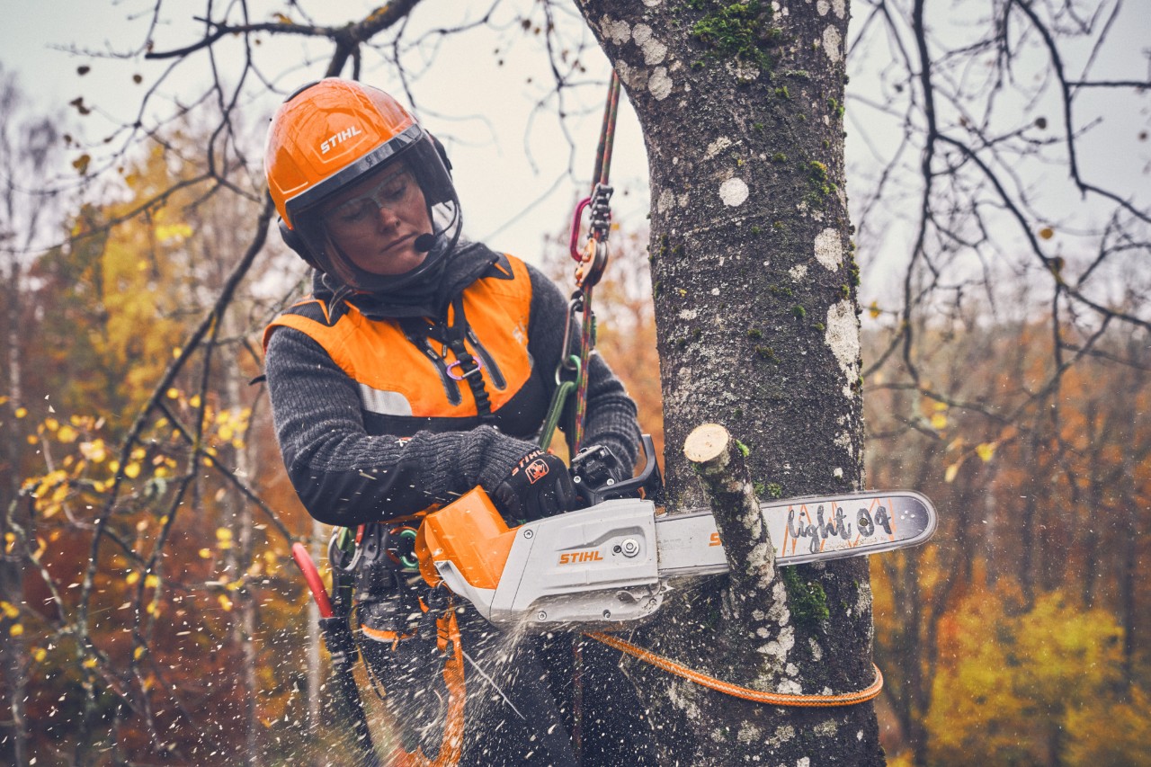 La arboricultora Viktoria Carstens cuelga del árbol con una cuerda de seguridad