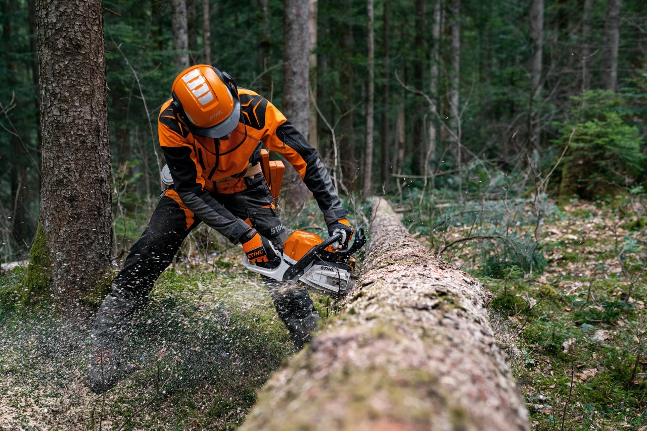Un hombre con equipo de protección corta un tronco caído con una motosierra de gasolina STIHL MS 400 C-M con pistón de magnesio